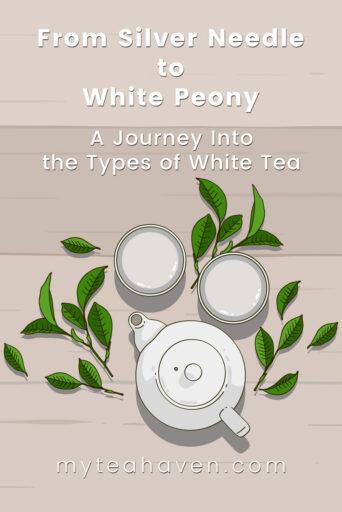 Types of White Tea 01