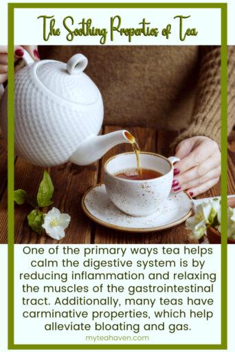 What Tea Helps Upset Stomach 02