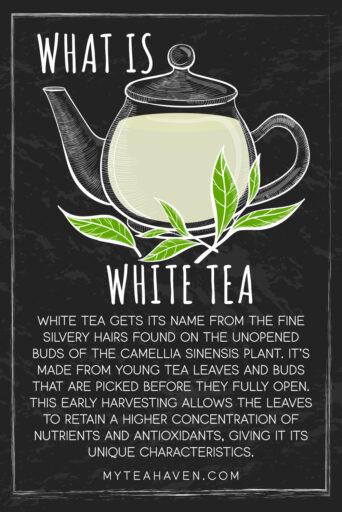 What is White Tea 02