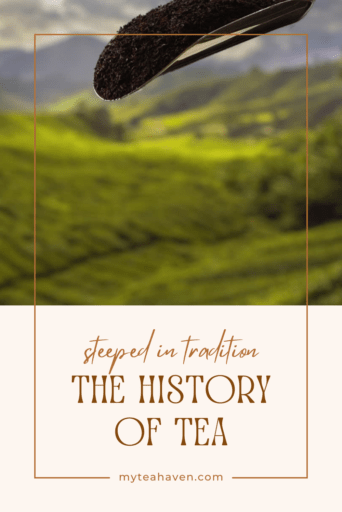 History of Tea 05